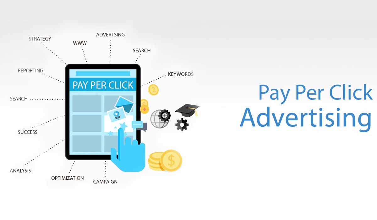 Businex-Service Details